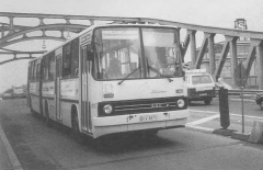 Ikarus Bus