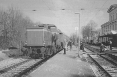 Blick zum Bahnhof Lüneburg mit Fahrgästen und Zug
