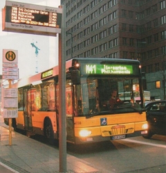Bus M41
