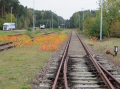 Weiche einer Eisenbahnstrecke mit Blick auf die Strecke