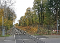 S-Bahnstrecke mit Wald