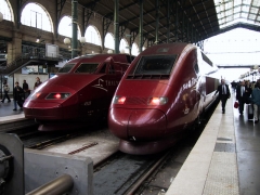 Zwei Thalys-Züge im Bahnhof